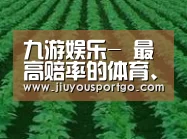 种植基地六(图1)