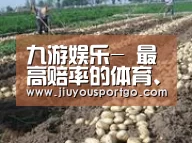种植基地八