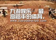 种植基地二