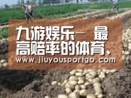 种植基地七(图1)