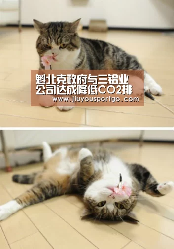 魁北克政府与三铝业公司达成降低CO2排放协议_九游棋牌(图3) 九樂棋牌官网