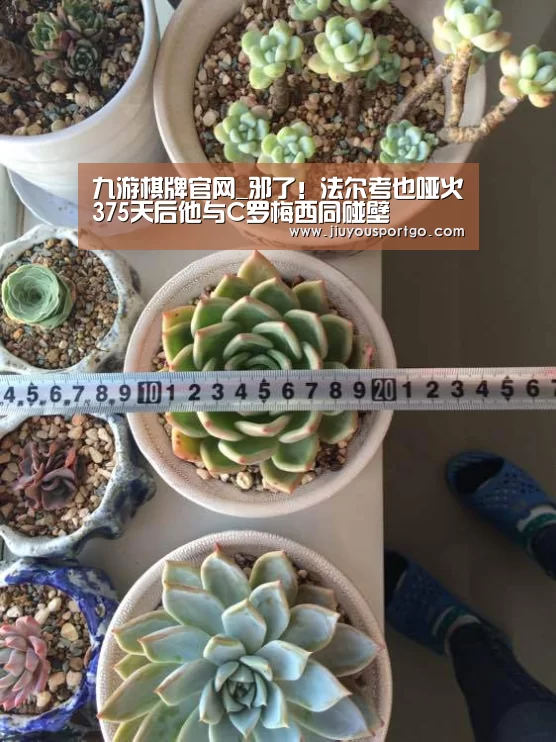 九游棋牌官网_邪了!法尔考也哑火375天后他与C罗梅西同碰壁(图1) 九游棋牌官网_邪了!法尔考也哑火375天后他与C罗梅西同碰壁(图1)