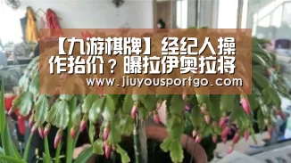 九樂棋牌官网