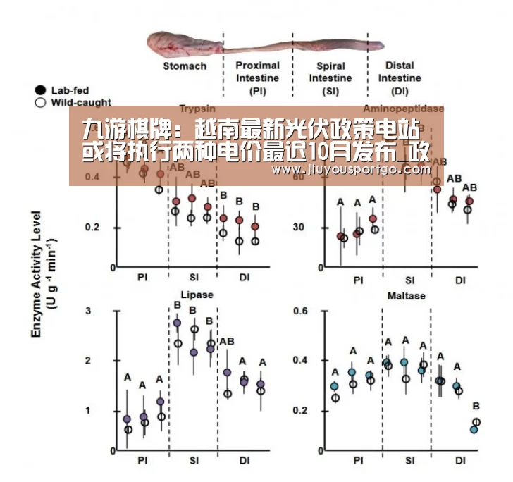 九游棋牌:越南最新光伏政策电站或将执行两种电价最迟10月发布_政策法规_新闻_矿道网(图2) 九樂棋牌官网