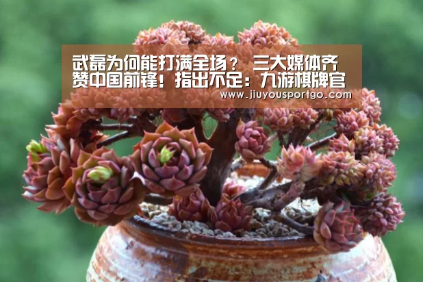 武磊为何能打满全场? 三大媒体齐赞中国前锋!指出不足:九游棋牌官网(图1) 武磊为何能打满全场? 三大媒体齐赞中国前锋!指出不足:九游棋牌官网(图1)