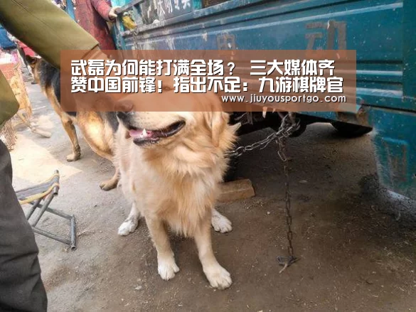 武磊为何能打满全场? 三大媒体齐赞中国前锋!指出不足:九游棋牌官网(图3) 九樂棋牌官网