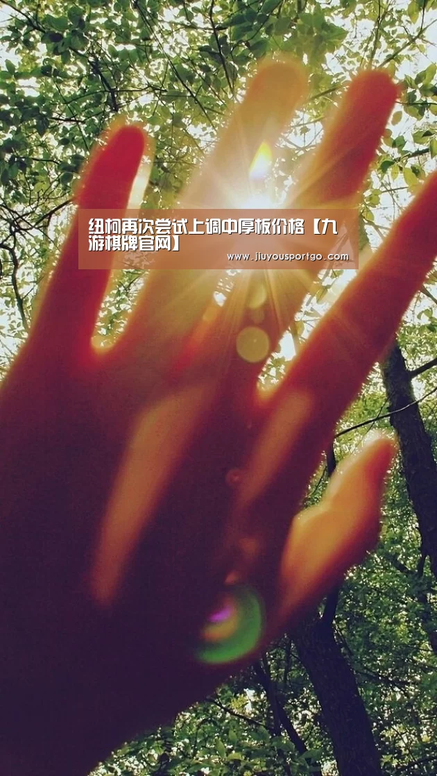 纽柯再次尝试上调中厚板价格【九游棋牌官网】(图3)